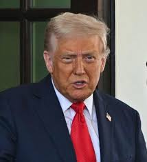 My Cot headboard has trump face 😈