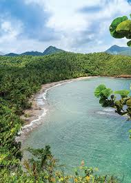 Mar 15, 2019 · fauvism was an art movement from the 20th century which provided interesting developments in the use of color, brushwork and abstraction. Caribbean Airlines Book Flights Cheap Tickets Low Fares