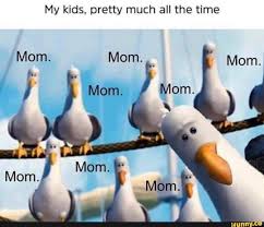 Stupid Bird From Finding Dory My Kids Pretty Much All The Time Mom Mom Mom Ifunny Funny Mom Memes Mom Memes Mom Humor