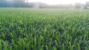 Hieronder vindt u het juiste antwoord op voetbalveld kruiswoordraadsel. Duurzaamheid Op Het Voetbalveld