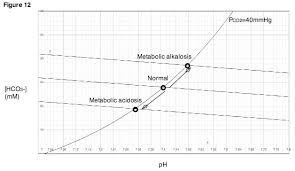 Metabolic Acidosis Wikipedia