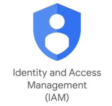 Identity and Access Management (IAM) Logo