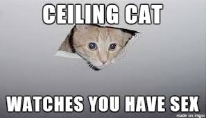 See, rate and share the best ceiling cat memes, gifs and funny pics. Ceiling Cat Watches You Meme On Imgur