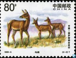 1999 Manchurian Wapiti 80 Stamp China People S Republic Since 1949 Chn Catawiki In 2020 Stamp China People Wapiti
