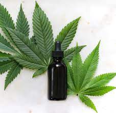 Cannabidiol (cbd) is a phytocannabinoid discovered in 1940. Cbd Kosmetik Was Bringen Produkte Mit Cbd Fur Die Schonheit Welt