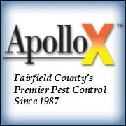 We have had service with them for years after i met the owners because of a philanthropic gift they made to a nonprofit i was working for. Powderpost Beetles In Hardwood Floors Apolloxapollox