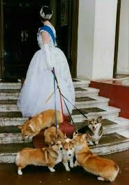 Your show dogs need to follow conformation. Pin By Dana Light On Her Majesty Elizabeth Ll Corgi Queen Queen Elizabeth Corgi Corgi