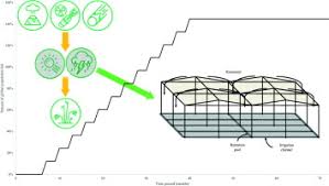 Management of pesticide resistance development. Scaling Of Greenhouse Crop Production In Low Sunlight Scenarios Sciencedirect