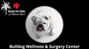 Convenient financing · a+ bbb rating · free estimates Healthy Pet Blog Family Pet Clinic Of Redondo Beach