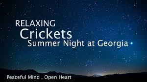 Set in cape cod over one scorching summer, this fun and stylized thriller follows daniel (timothée chalamet), a teenager who gets in over his head dealing drugs with the neighborhood rebel while pursuing his new partner's enigmatic sister. Sleep And Relaxation Nature Sounds Crickets Summer Night Sleep Music Youtube