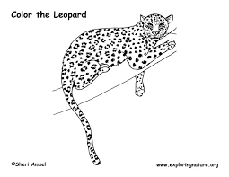 Leopard coloring pages for kids online. Leopard Coloring Page
