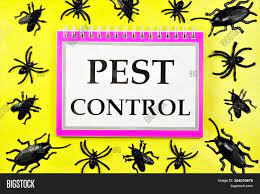 Pests can include any living organisms that are harmful to humans and their surroundings, food supplies, and stock. Pest Control System Image Photo Free Trial Bigstock