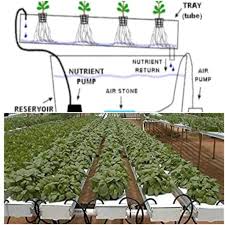 Diy outdoor nft hydroponics system: Nft Hydroponics System Building Requirements Gardening Tips