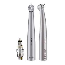 Image result for Turbina longiflora