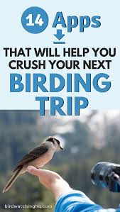 The 13 Best Bird Watching Apps 202 Hobbies List Bird Watching Apps Bird Watching Bird Watching Hobby