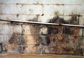 The homeowners were tired of their damp, musty basement and the poor air quality due to moisture and dirt floors. Dealing With A Damp Basement Bob Vila Radio Bob Vila