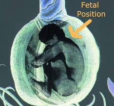 Although our providers continued to grow steadily, the public has become much more aware. Tree Burial Pod Inhabitat Green Design Innovation Architecture Green Building