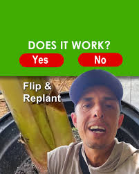 If you grew up eating processed foods and later learned the benefits of  filling your plate with real whole foods, you get where Neighborhood Farms  USA co-founder Yaffa Popack is coming from.#NeighborhoodFarmsUSA #