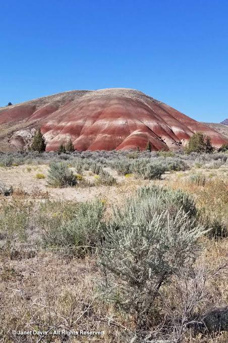 The Painted Hills of Oregon | Janet Davis Explores Colour