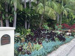 While these plants make a great addition to your drought tolerant yard design, they are not your only option. 75 Beautiful Tropical Drought Tolerant Landscaping Pictures Ideas July 2021 Houzz
