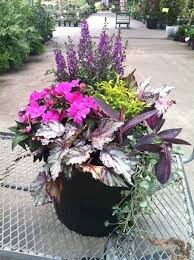 Fresh And Beautiful Container Garden Flowers Ideas 23 Container Gardening Full Sun Full Sun Container Plants Container Plants