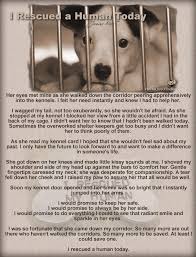 Pin On Everyday Dog Mom Blog