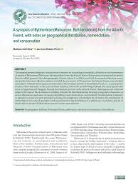 Image result for Malvaceae: Byttnerioideae, Helicteroideae