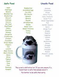 Hedgehog Safe And Unsafe Food List Hedgehog Pet Hedgehog Food Hedgehog Pet Cage
