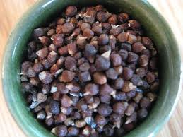 Image result for Aframomum mala