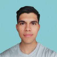 1500+ perfiles de «Wilson»