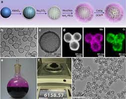 You can also opt for free samples prior to using the products. Hollow Mno2 As A Tumor Microenvironment Responsive Biodegradable Nano Platform For Combination Therapy Favoring Antitumor Immune Responses Nature Communications