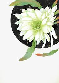 Antiquity Beautiful Watercolor Illustration Watercolor Illustration Chinese Art Art
