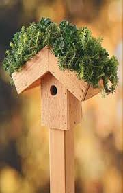 Green Roof Diy Birdhouse Backyard Projects Birds And Blooms Bird Houses Diy Roofing Diy Bird Houses