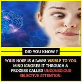 Robert Rainwater (rainwaterrobert)