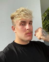 Jake Paul Tattoos: Photos of His Ink, Their Meanings
