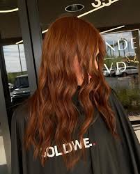 Lived in blondie 💛