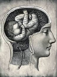 Staff universiti teknologi mara official website. Student Portal Uitm Ufuture Mystudenportale