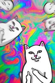 Trippy Wallpaper In 2020 Trippy Wallpaper Trippy Iphone Wallpaper Ripndip Wallpaper