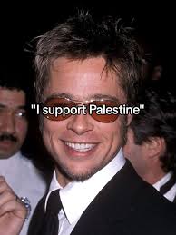 Brad Pitt Pro Palestine