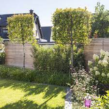 garten moderne wohngarten in dormagen leistungsbild privacy landscaping backyard porch landscaping hedges landscaping