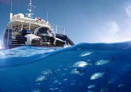 Nemo is abducted by a boat and netted up and sent to a dentist's office in sydney. U Boat Worx Introduces Latest Nemo Submarine