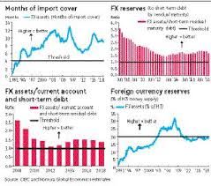 India Has Enough Forex Reserves For A Rainy Day Rbi Has