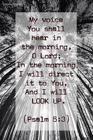 Psalm 5 3 Walking In The Light Psalm 5 Psalms Walk In The Light
