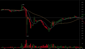 Guess how many times bitcoin has had horrific despite that drastic crash in bitcoin's price, bitcoin still increased in value nearly 100 times, or 2017 saw bitcoin go on a massive rally from $1,000 in the beginning of the year to $20,000 in. Bitcoin Price Flash Crashes To 10 075 As Market Goes Berserk