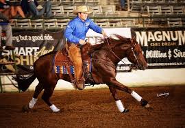 The competition on days one and two of the event. Arizona Reining Horse Association Arc Gunna Sparkya At Perfect Horse Auctions