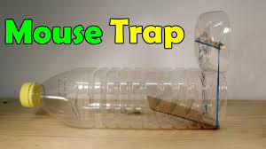 How To Make A Mouse Trap At Home Plastic Bottle Homemade Mouse Traps Mouse Traps Mouse Trap Diy