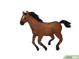 Free drawing tutorial galloping horse gillian ussher art. 4 Ways To Draw A Horse Wikihow