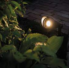 Focus 12v Plug Play Led Garden Spotlight Garden Spotlights Led Outdoor Lighting Outdoor Lighting