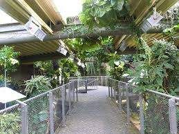 Hier existiert auch der höchste punkt der stadt halle in form eines turms im zentrum des zoos. Trfihi Parks Parks Zoologischer Garten Halle