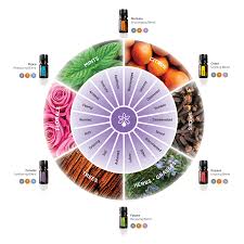 11 benefits of essential oils 1. How To Choose A Blend DÅterra Essential Oils